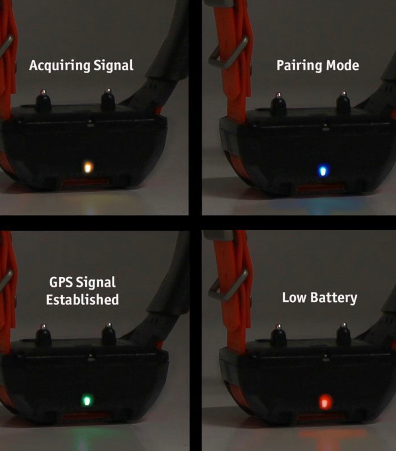 Garmin T20 Collar