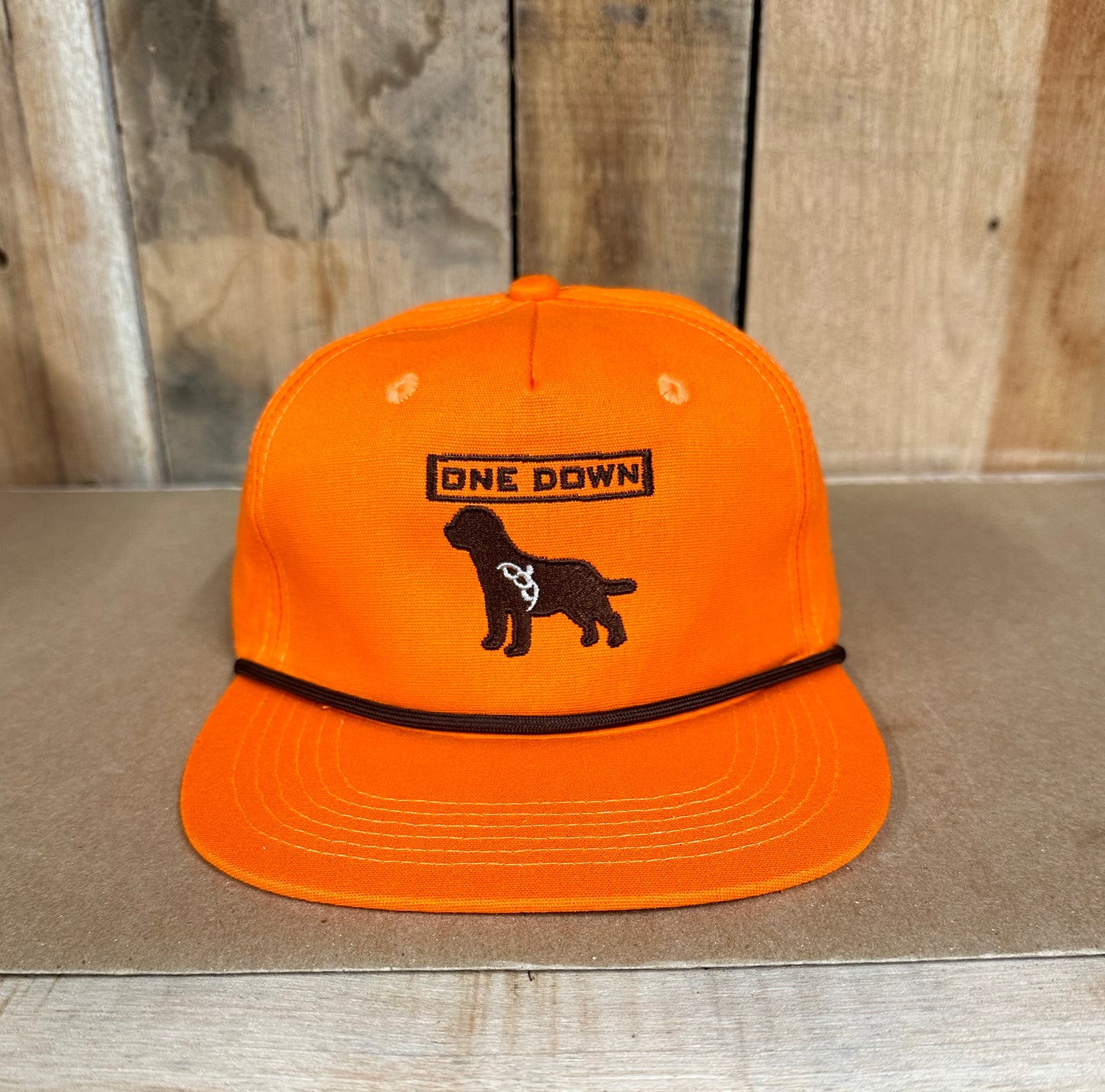 Retriever Orange Lost