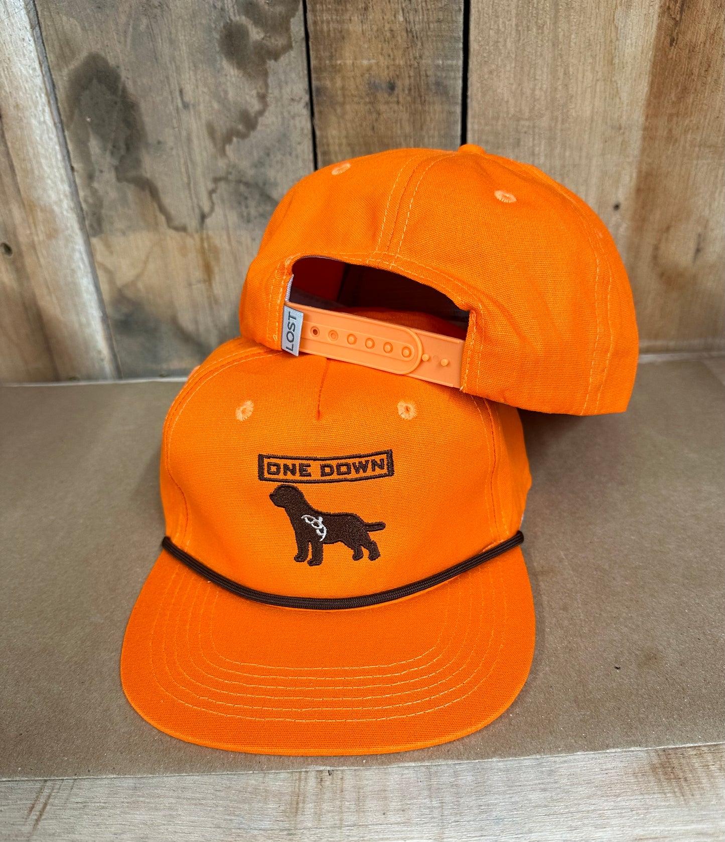Retriever Orange Lost