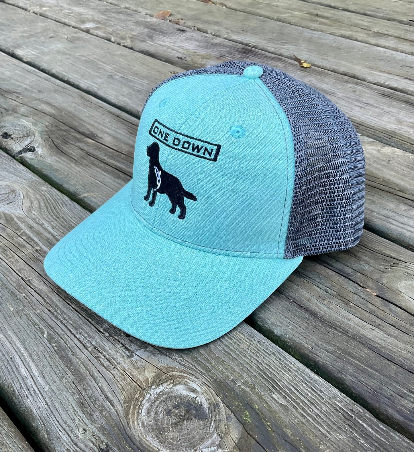 Retriever Logo Hat