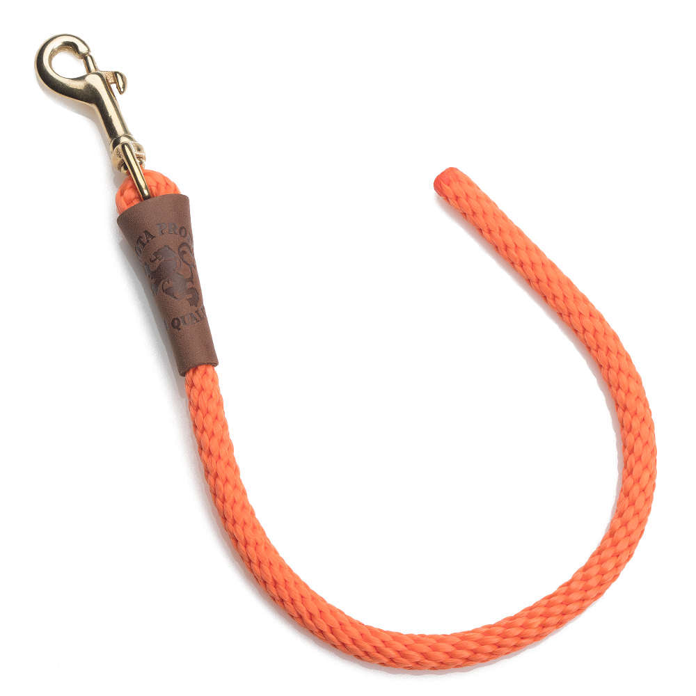 Mendota Training Tab