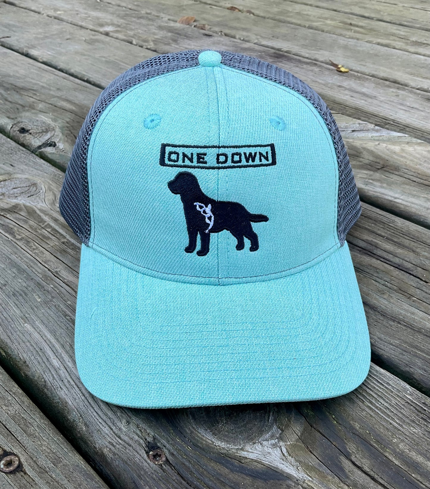 Retriever Logo Hat