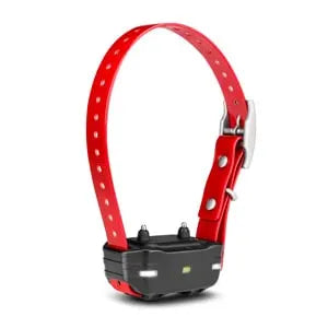 Garmin PT10 Training Collar