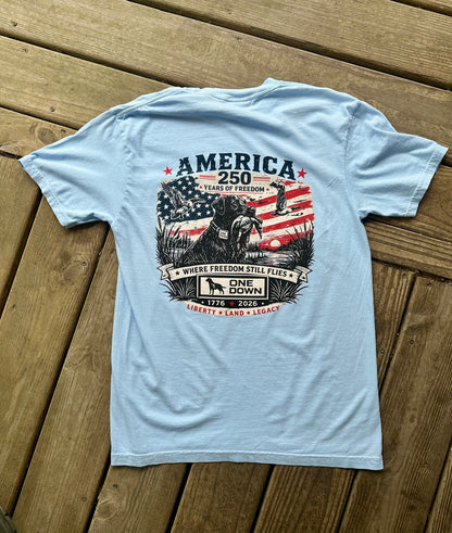 Where Freedom Still Flies Tee
