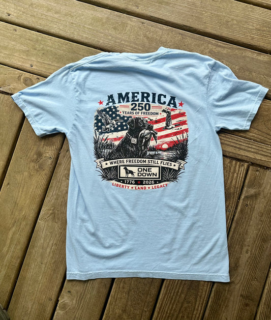 Where Freedom Still Flies Tee