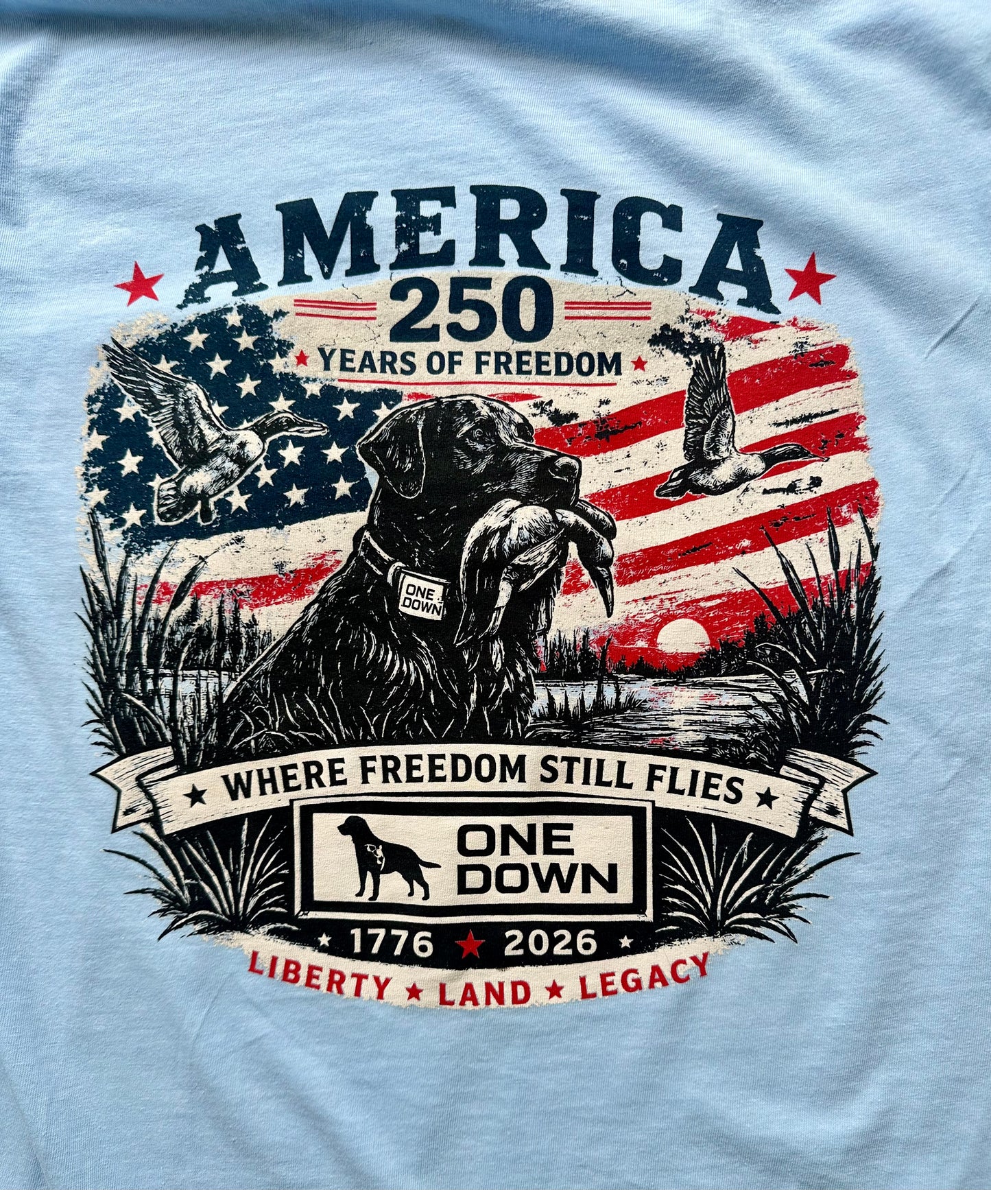 Where Freedom Still Flies Tee