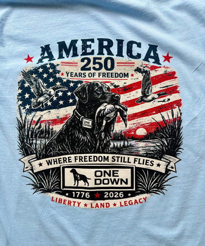 Where Freedom Still Flies Tee