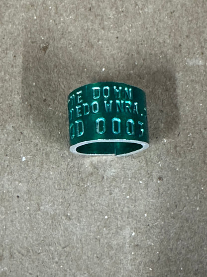 One Down Duck Band
