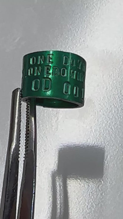 One Down Duck Band